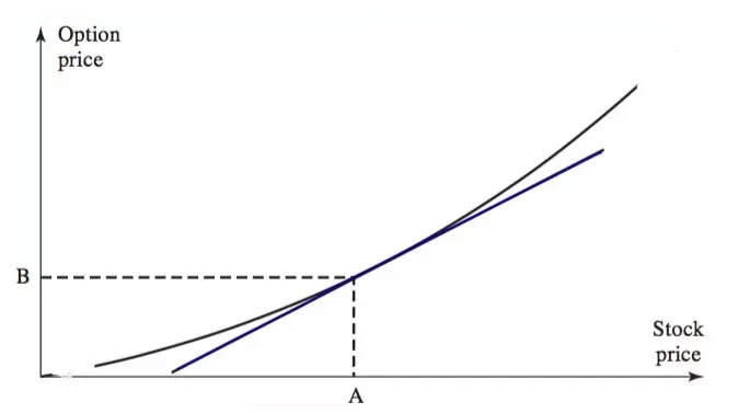 تصحیح خمیدگی 