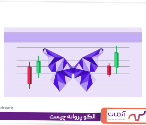 الگو پروانه چیست