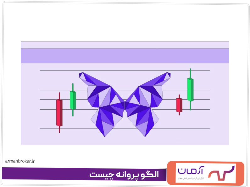 الگو پروانه چیست
