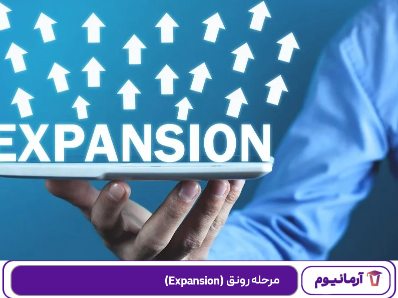مرحله رونق (Expansion)