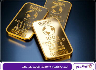 انس به کمتر از ۵۰۰۰ دلار رضایت نمی‌دهد!